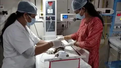 Newborn Buried Living in India Battles for Survival