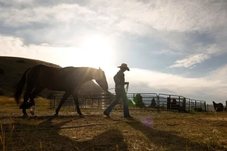 Get to Know the American Cowgirls Reshaping Modern Ranching